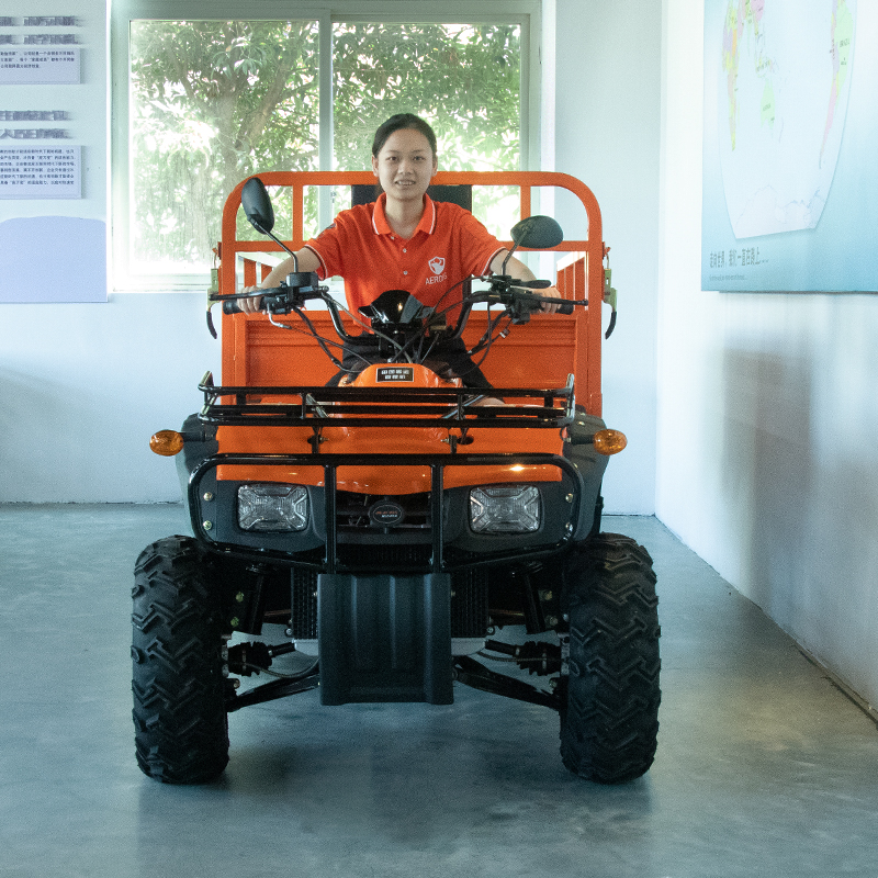 Electric 4x4 Farm Big Quad Bik - Outdoor Adventure Farm incelemesi ve fiyatı