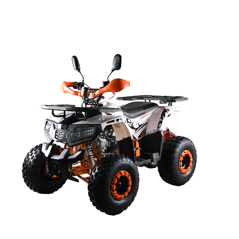 110cc CE EPA  ATV Adult 4-Whee - Outdoor Adventure Quad Biking incelemesi ve fiyatı