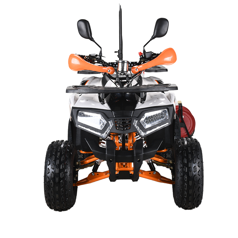 110cc CE EPA  ATV Adult 4-Whee - Outdoor Adventure Quad Biking incelemesi ve fiyatı