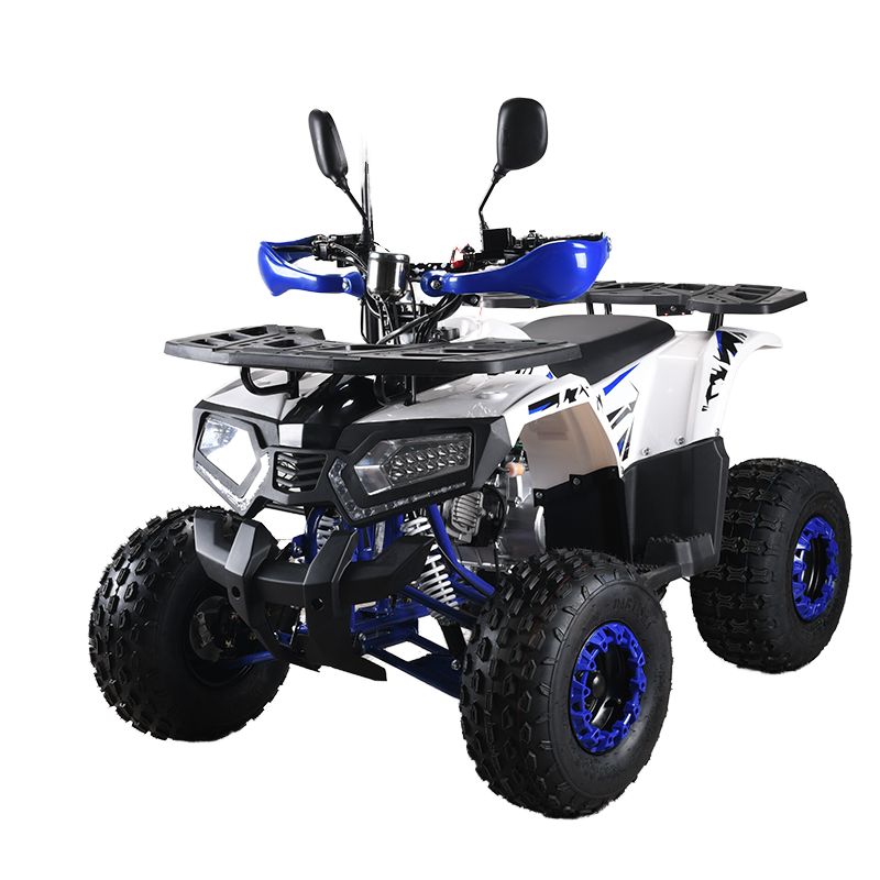 110cc CE EPA  ATV Adult 4-Whee - Outdoor Adventure Quad Biking incelemesi ve fiyatı