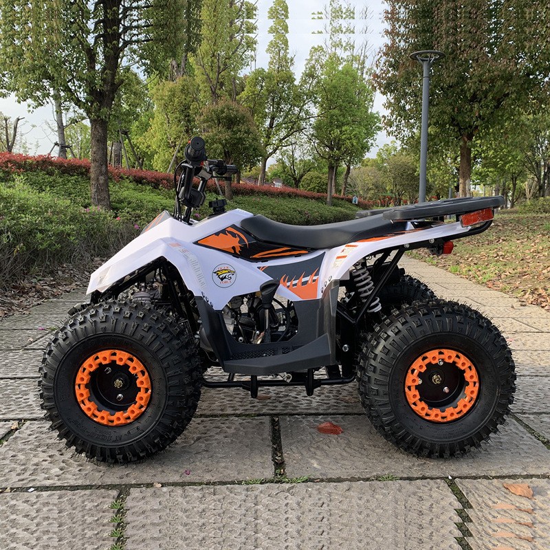 125CC ATV, Small Falcon All-Te - Outdoor Adventure Quad Biking incelemesi ve fiyatı