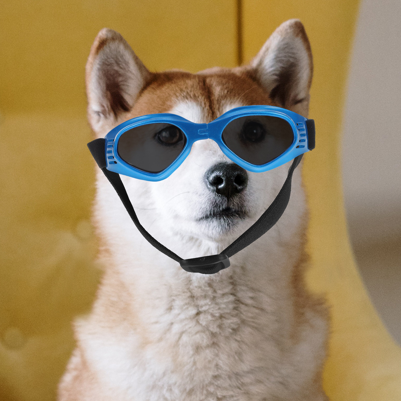 Small Dog Cat Sunglasses Uv Pr - Outdoor Adventure Festival incelemesi ve fiyatı