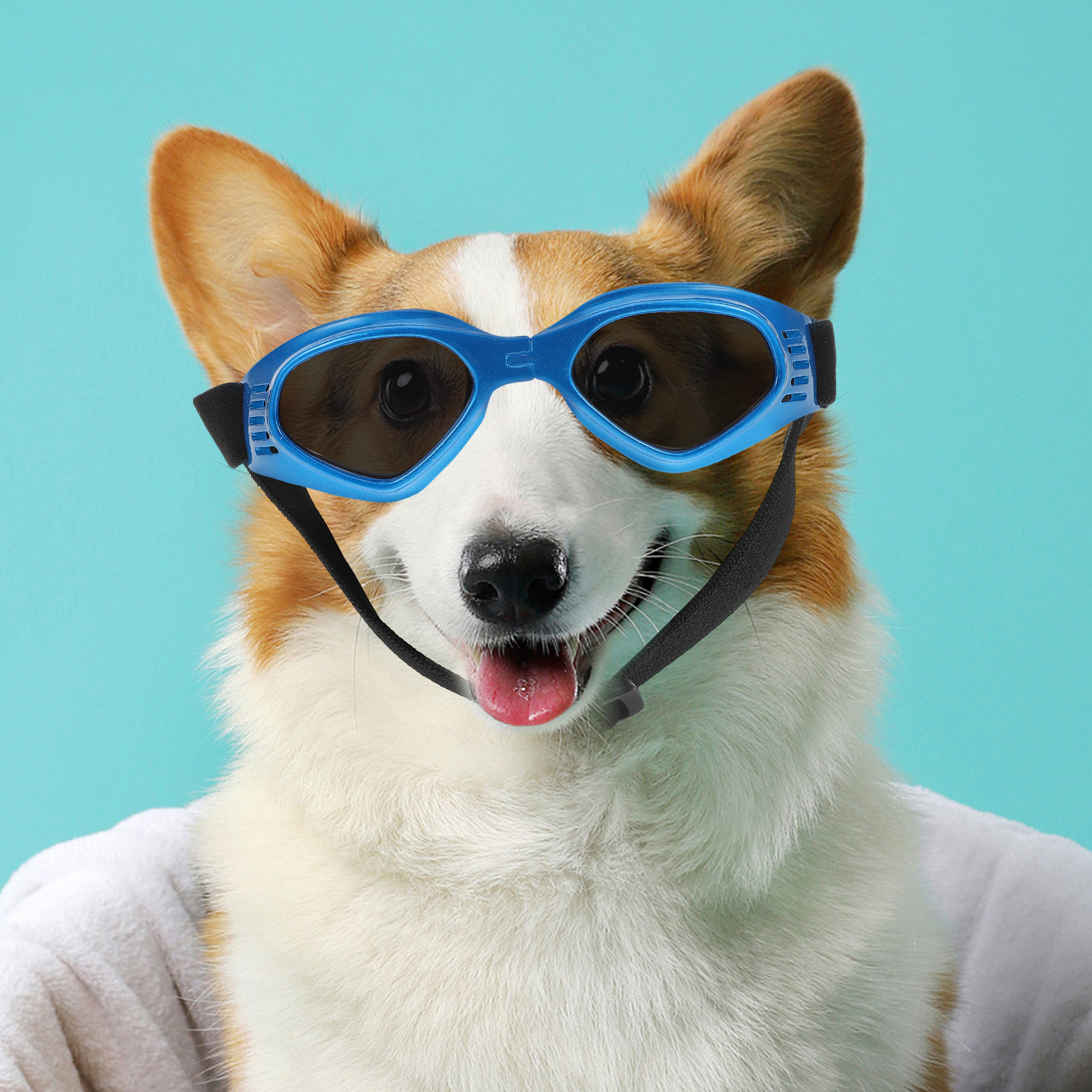 Small Dog Cat Sunglasses Uv Pr - Outdoor Adventure Festival incelemesi ve fiyatı